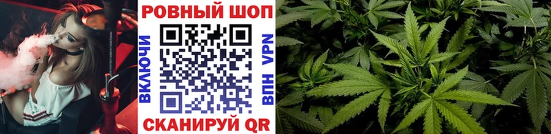 Магазин наркотиков Зеленогорск Амфетамин COCAIN Гашиш Мефедрон МАРИХУАНА Галлюциногенные грибы APVP