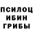 Псилоцибиновые грибы MAGIC MUSHROOMS Hfd Egr