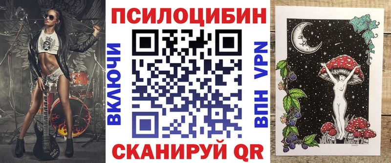 сколько стоит  Зеленогорск  Галлюциногенные грибы Cubensis 